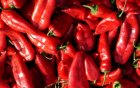 Македонска црвена пиперка Македонска црвена пиперка